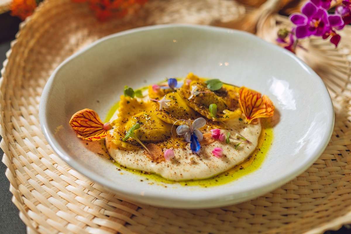 Prato de Ravioli de Damasco e Gorgonzola servido em uma tigela clara, sobre um creme de cor clara e molho dourado, decorado com ervas, flores comestíveis e pequenos brotos.