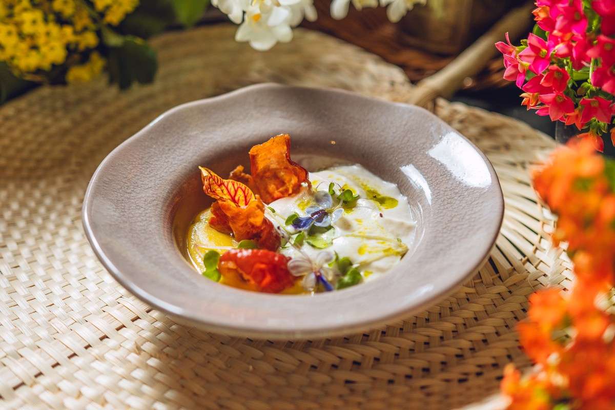 Prato de Cappuccino de Mandioquinha servido em tigela cinza, com creme claro, espuma de parmesão, crispy de copa, azeite de ervas e brotos.