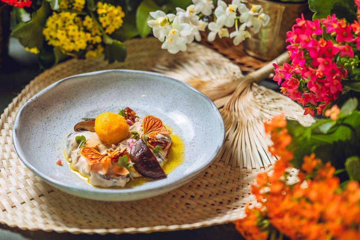 Prato de Cogumelos da Serra servido em louça azul-clara, com cogumelos, velouté, gema curada, crumble de castanhas, azeite de trufas, brotos e flores comestíveis.